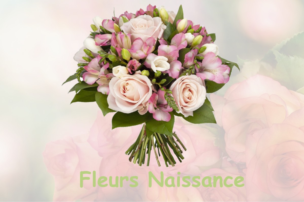 fleurs naissance BEAUCLAIR