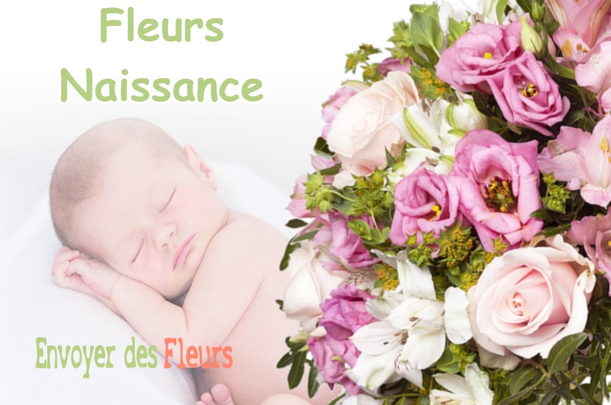 lIVRAISON FLEURS NAISSANCE à BEAUCLAIR